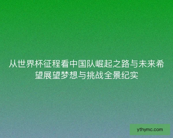 从世界杯征程看中国队崛起之路与未来希望展望梦想与挑战全景纪实
