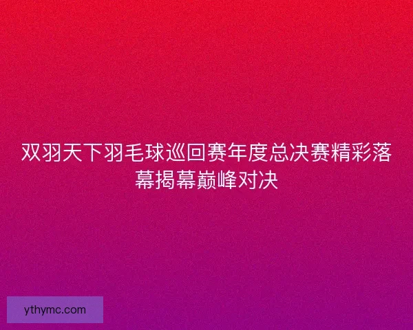 双羽天下羽毛球巡回赛年度总决赛精彩落幕揭幕巅峰对决